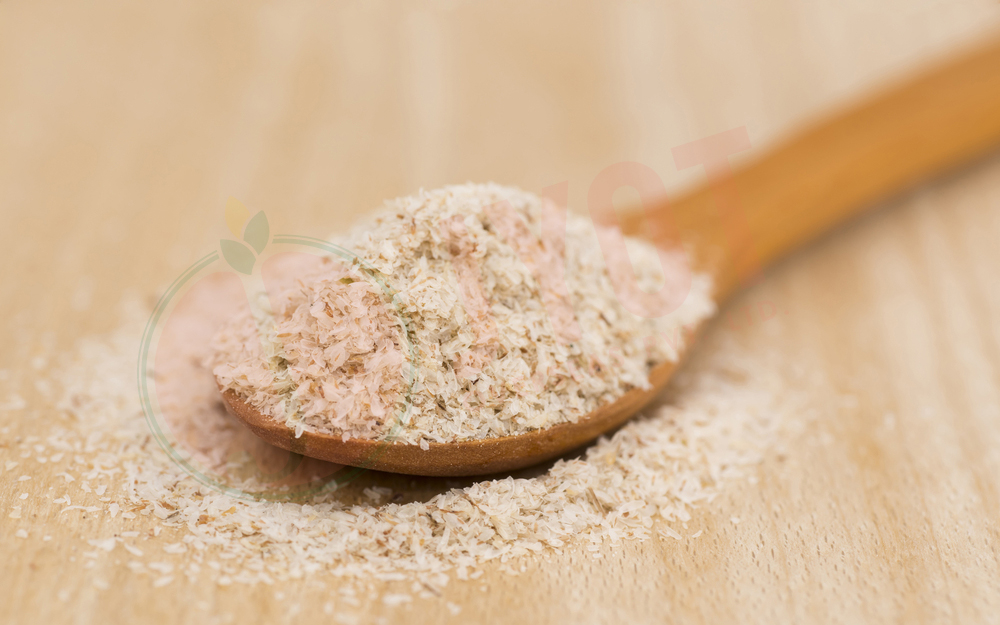 psyllium husk manufacturers in india